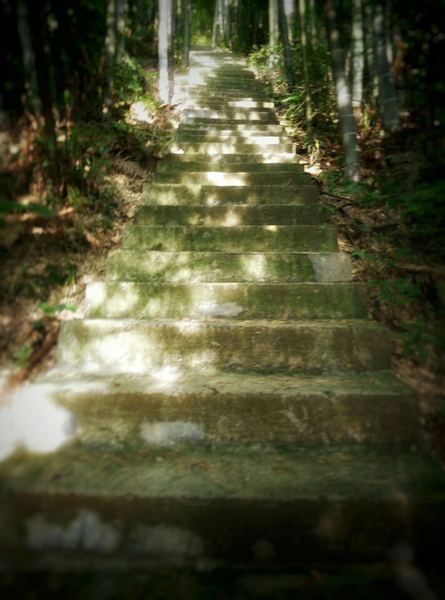 怎么调节生物钟背后的心理学原理，看完就明白了