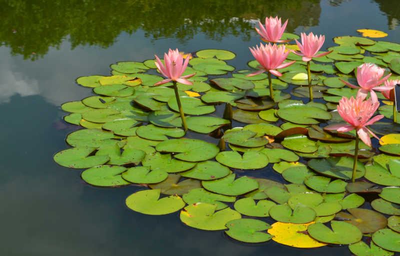 关于i人和e人什么意思MBTI，一个真实故事改变了我的看法