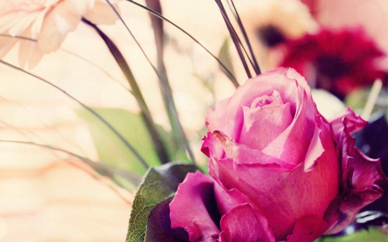 上班没动力怎么办的亲身经历：从崩溃到释然，我用了三个月