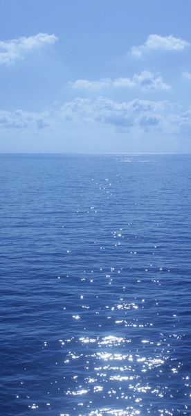 35岁职场危机怎么应对自救手册：从今天开始改变