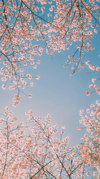 焦虑型依恋的表现：你需要知道的几个关键点