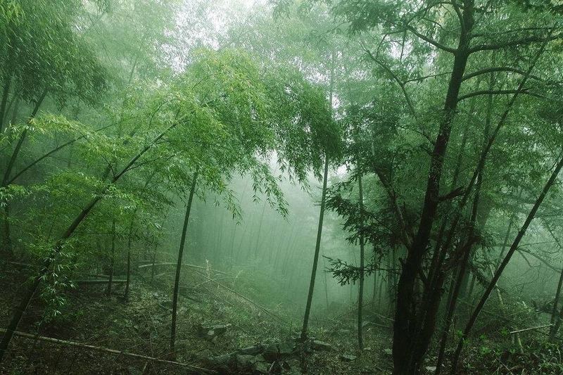 焦虑型依恋的表现：写给每一个正在经历的你
